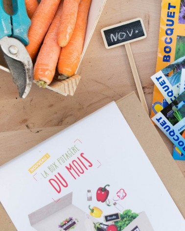 Box Cadeau pour semer des légumes originaux