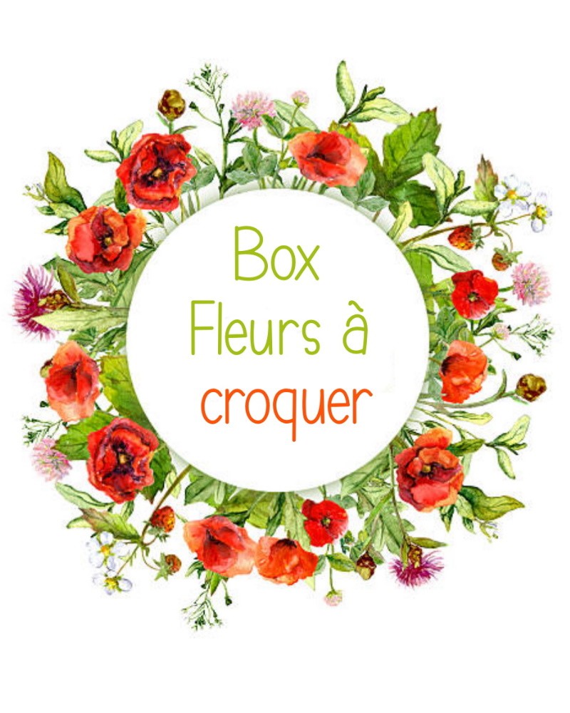 Cultiver des fleurs comestibles