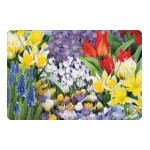 Bulbes de tulipes à planter en automne | Graines Bocquet